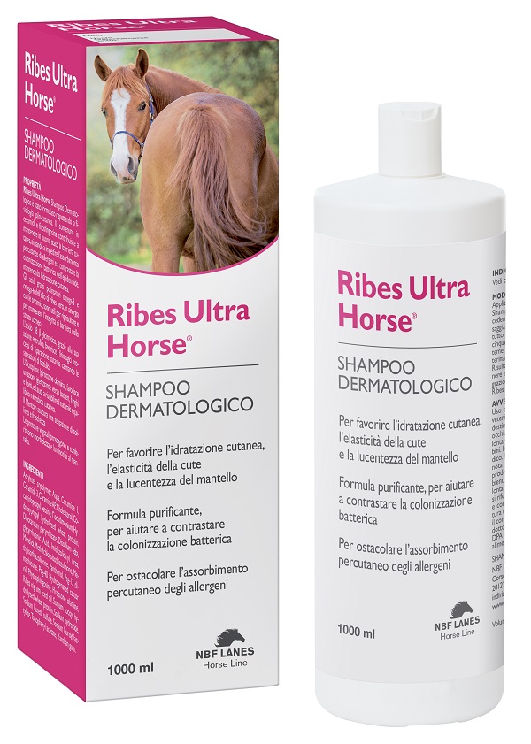 RIBES HORSE ULTRA SHAMPOO DERMATOLOGICO 1 LITRO - Farmacia Rossi2 - Farmacia Rossi 