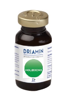 DRIAMIN MOLIBDENO 10 FLACONCINI 15 ML - Farmacia Rossi2 - Farmacia Rossi 
