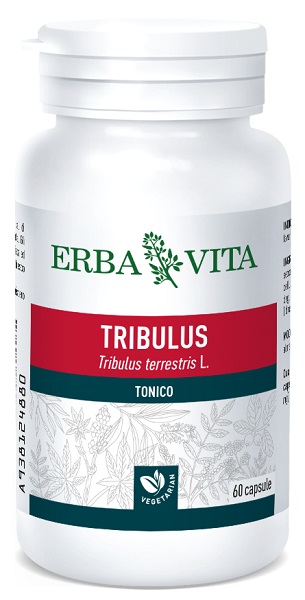 TRIBULUS TERRESTRIS 60 CAPSULE 500 MG - Farmacia Rossi2 - Farmacia Rossi 
