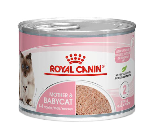 FELINE HEALTH NUTRITION WET BABYCAT INSTINCTIVE 195 G - Farmacia Rossi2 - Farmacia Rossi 