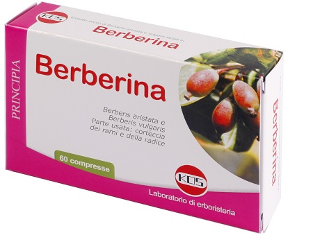 BERBERINA DA BERBERIS VULGARIS ESTRATTO SECCO 60 COMPRESSE - Farmacia Rossi2 - Farmacia Rossi 