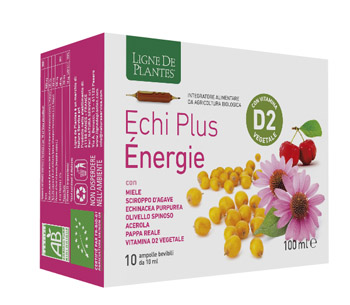 ECHI PLUS ENERGIE 10 AMPOLLE DA 10 ML - Farmacia Rossi2 - Farmacia Rossi 