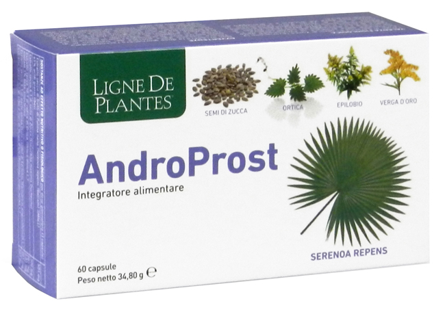 ANDROPROST 60 CAPSULE - Farmacia Rossi2 - Farmacia Rossi 