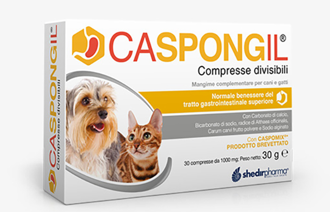 CASPONGIL 30 COMPRESSE DIVISIBILI - Farmacia Rossi2 - Farmacia Rossi 