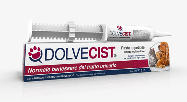 DOLVECIST PASTA SIRINGA 30 G - Farmacia Rossi2 - Farmacia Rossi 