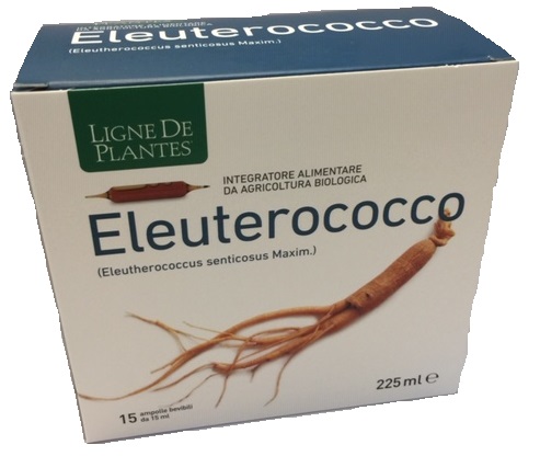 ELEUTEROCOCCO BIOLOGICO 15 AMPOLLE BEVIBILI DA 15 ML - Farmacia Rossi2 - Farmacia Rossi 