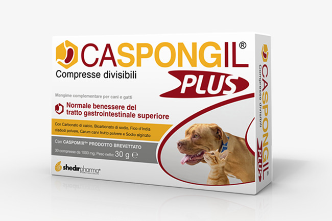 CASPONGIL PLUS 30 COMPRESSE - Farmacia Rossi2 - Farmacia Rossi 