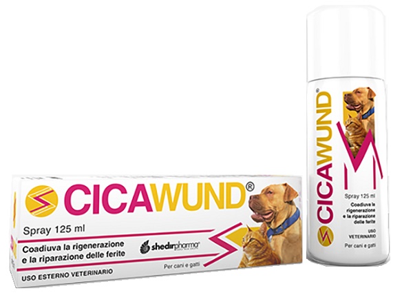 CICAWUND SPRAY 125 ML - Farmacia Rossi2 - Farmacia Rossi 