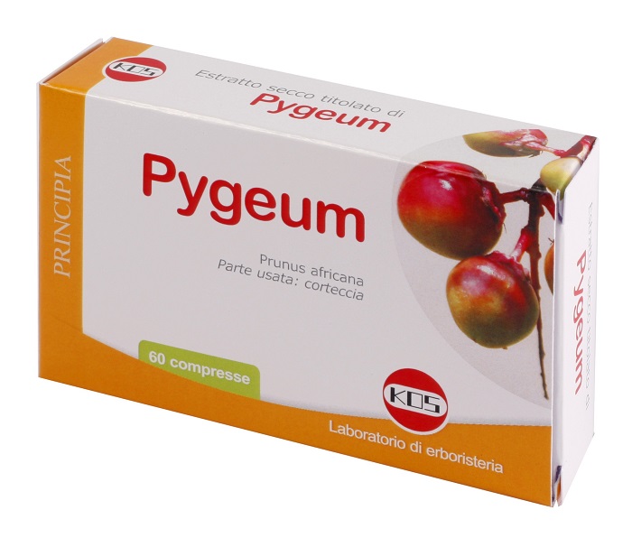 PYGEUM ESTRATTO SECCO 60 COMPRESSE - Farmacia Rossi2 - Farmacia Rossi 