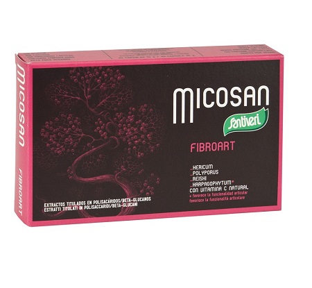 MICOSAN FIBROART 40 CAPSULE - Farmacia Rossi2 - Farmacia Rossi 