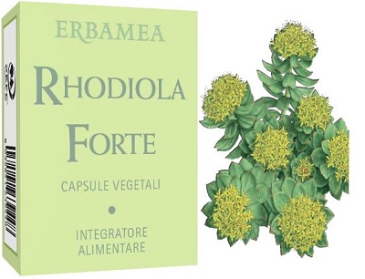 RHODIOLA FORTE 24 CAPSULE - Farmacia Rossi2 - Farmacia Rossi 
