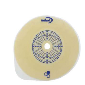 PLACCA PIANA AURUM 2 45MM RITAGLIABILE 5 PEZZI - Farmacia Rossi2 - Farmacia Rossi 
