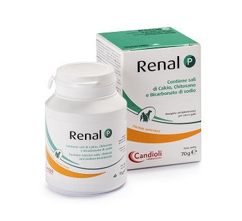 RENAL P MANGIME COMPLEMENTARE PER CANI E GATTI BARATTOLO 70 G - Farmacia Rossi2 - Farmacia Rossi 