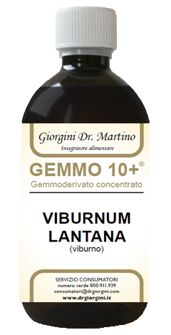 VIBURNO LIQUIDO ANALCOLICO GEMMO 10+ 500 ML - Farmacia Rossi2 - Farmacia Rossi 