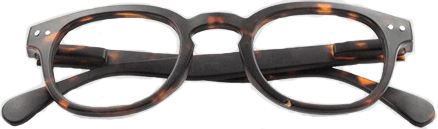 OCCHIALE DA LETTURA PREMONTATO TWINS PLATINUM RETRO MARRONE +3,50 - Farmacia Rossi2 - Farmacia Rossi 