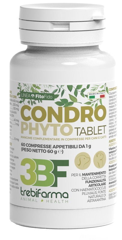 CONDROPHYTO 60 COMPRESSE DA 1 G - Farmacia Rossi2 - Farmacia Rossi 