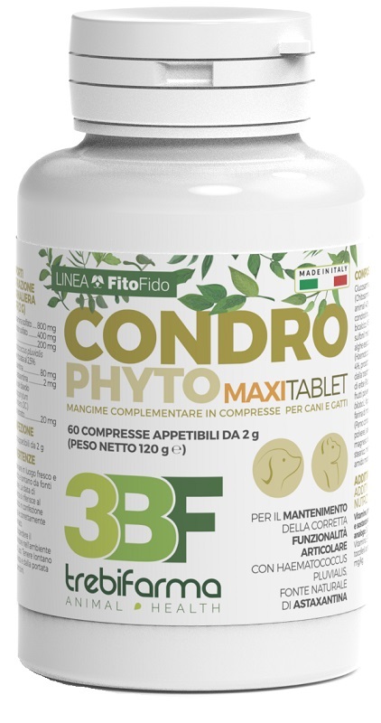 CONDROPHYTO 60 COMPRESSE 2 G - Farmacia Rossi2 - Farmacia Rossi 