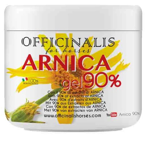 ARNICA GEL 90% 500 ML - Farmacia Rossi2 - Farmacia Rossi 