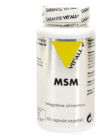 MSM 60 CAPSULE - Farmacia Rossi2 - Farmacia Rossi 