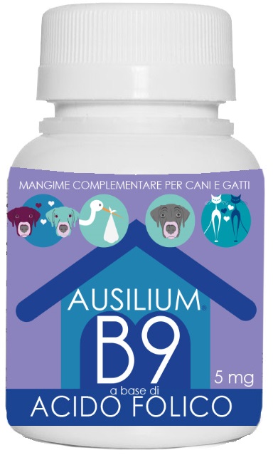 AUSILIUM B9 VET ACIDO FOLICO 100 G - Farmacia Rossi2 - Farmacia Rossi 