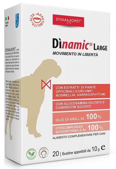 DINAMIC LARGE 20 BUSTINE 10 G - Farmacia Rossi2 - Farmacia Rossi 