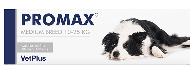 PROMAX MEDIUM BREED 18 ML - Farmacia Rossi2 - Farmacia Rossi 