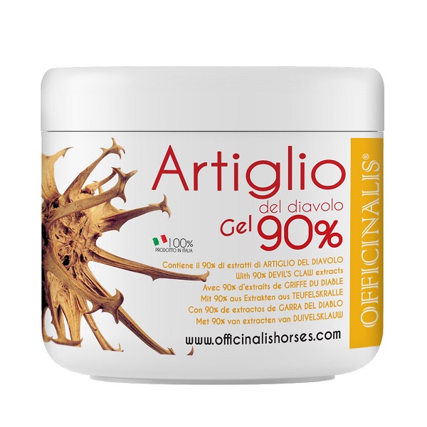 ARNICA GEL 90% 250 ML - Farmacia Rossi2 - Farmacia Rossi 