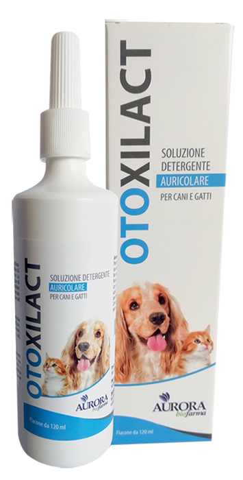 OTOXILACT DETERGENTE AURICOLARE - Farmacia Rossi2 - Farmacia Rossi 