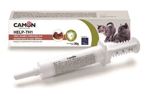 HELP-TH1 PASTA SIRINGA 30 G - Farmacia Rossi2 - Farmacia Rossi 
