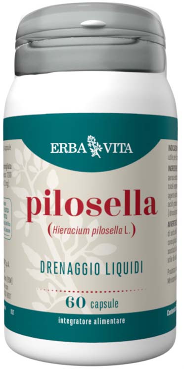 PILOSELLA 60 CAPSULE - Farmacia Rossi2 - Farmacia Rossi 